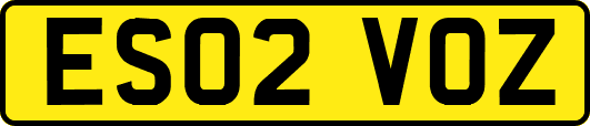 ES02VOZ