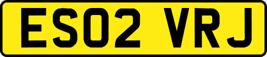 ES02VRJ