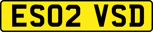ES02VSD
