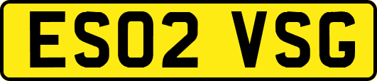 ES02VSG
