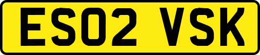 ES02VSK