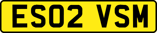ES02VSM
