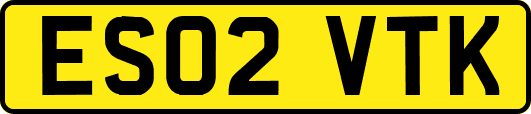 ES02VTK