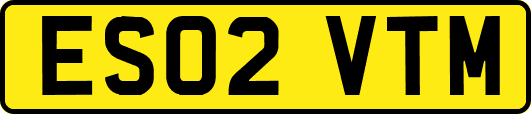 ES02VTM
