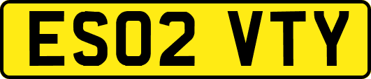ES02VTY