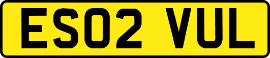 ES02VUL