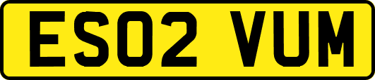 ES02VUM