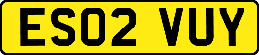 ES02VUY