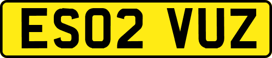 ES02VUZ