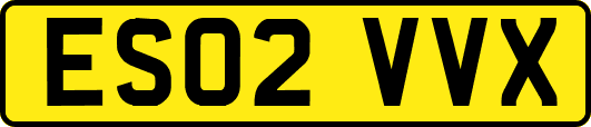 ES02VVX