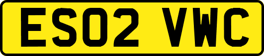 ES02VWC