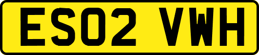 ES02VWH