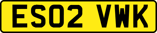 ES02VWK