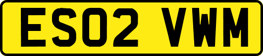 ES02VWM