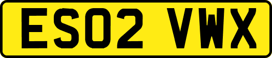 ES02VWX