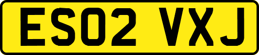 ES02VXJ