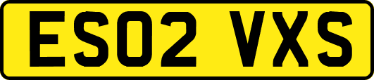 ES02VXS