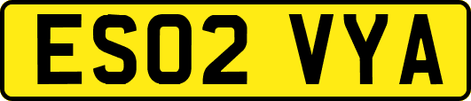 ES02VYA
