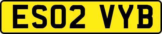 ES02VYB