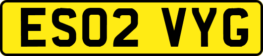 ES02VYG