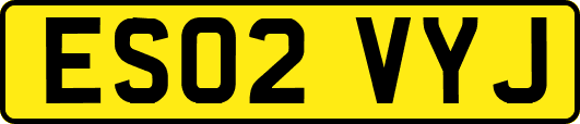 ES02VYJ