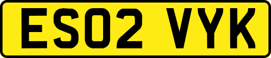 ES02VYK