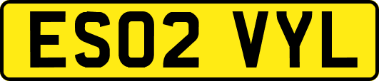 ES02VYL