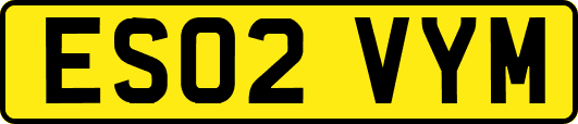 ES02VYM