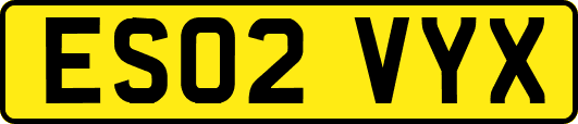 ES02VYX