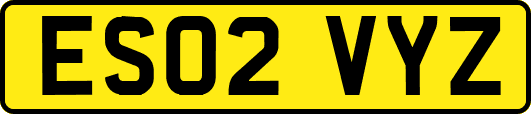 ES02VYZ