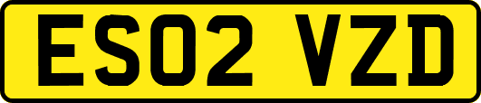 ES02VZD