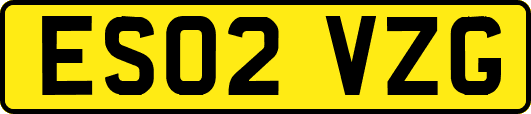 ES02VZG