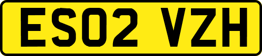 ES02VZH