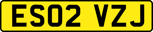 ES02VZJ