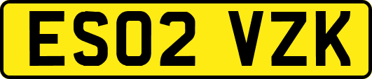 ES02VZK