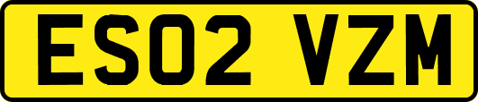 ES02VZM