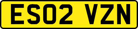 ES02VZN