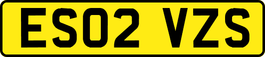 ES02VZS
