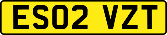 ES02VZT