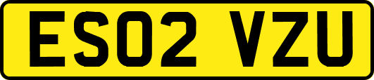 ES02VZU