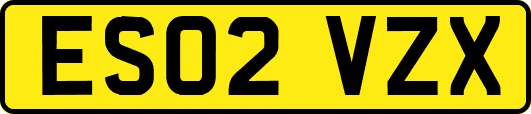 ES02VZX