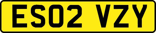 ES02VZY