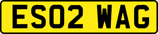 ES02WAG