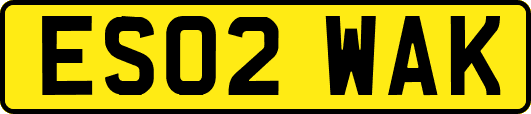 ES02WAK