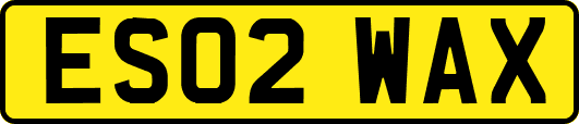 ES02WAX
