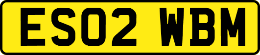ES02WBM