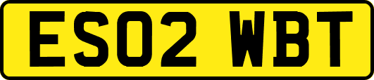 ES02WBT