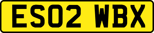 ES02WBX