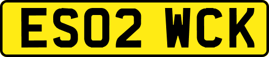 ES02WCK