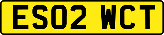 ES02WCT